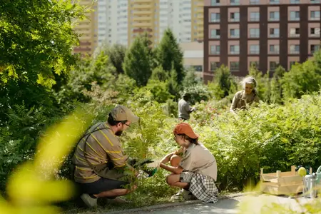Un homme et une jeune fille plantent des arbustes dans un jardin communautaire urbain