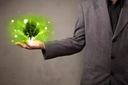 Personne tenant un arbre vert lumineux dans la main