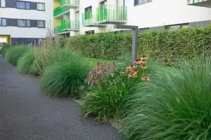 Nice : dans quels quartiers verts acheter un appartement neuf ?