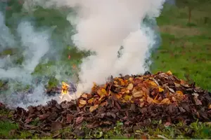 Gros plan de feuilles sèches brûlantes sur le sol
