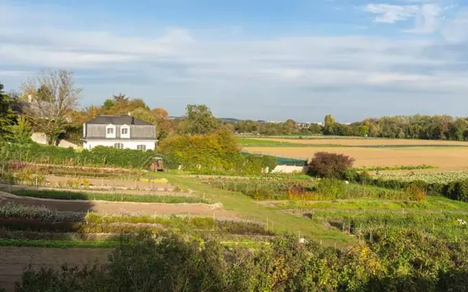 Programme immobilier neuf Les terrasses du chateau à Le Mesnil-le-Roi