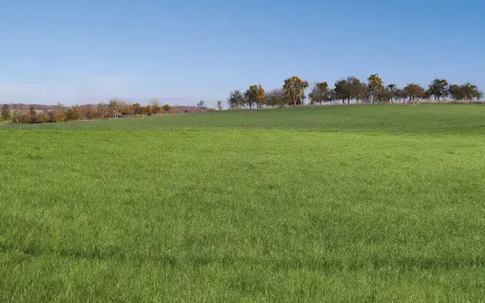 Programme immobilier neuf Les hauts tilleuls à Waldwisse