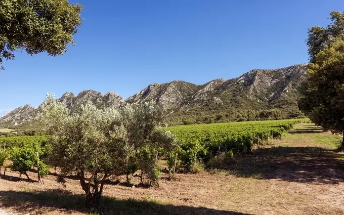 Programme immobilier neuf Les villas domaine de vallat - t2 à Saint-Rémy-de-Provence