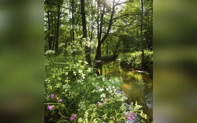 Programme immobilier neuf Neo essentiel à Orvault