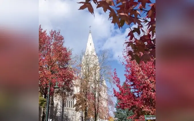 Programme immobilier neuf Neo essentiel à Orvault