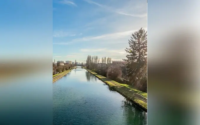 Programme immobilier neuf Les jardins sophoras à Bischheim