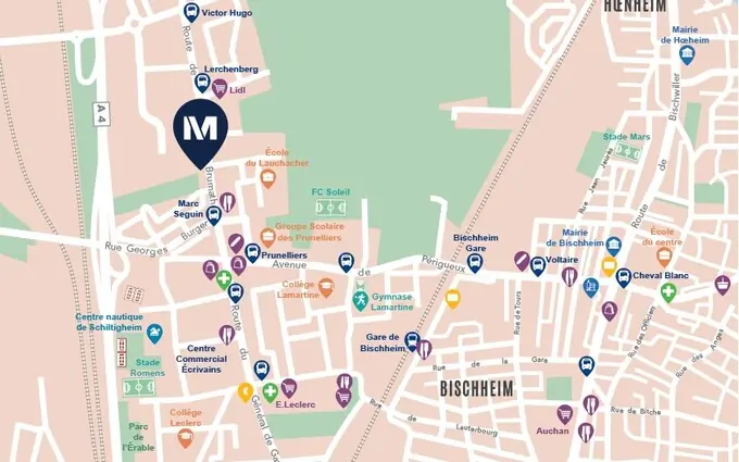 Programme immobilier neuf Les jardins sophoras à Bischheim