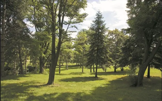 Programme immobilier neuf Le mansart à Saint-Denis