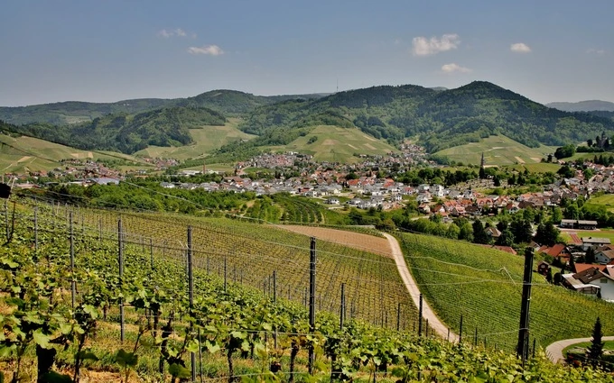 Programme immobilier neuf Le clos du vignoble à Dorlisheim