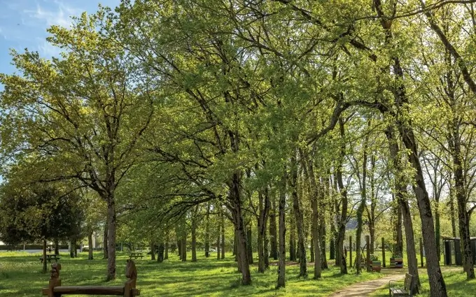 Programme immobilier neuf Plume à Pont-Péan