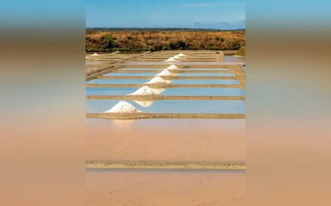 Programme immobilier neuf Les salines à Guérande
