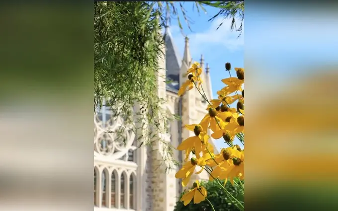 Programme immobilier neuf Pulse à Orvault