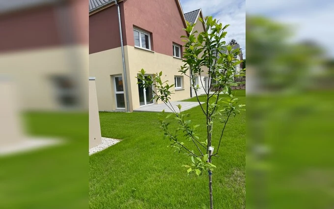 Programme immobilier neuf Les carres florae à Bartenheim