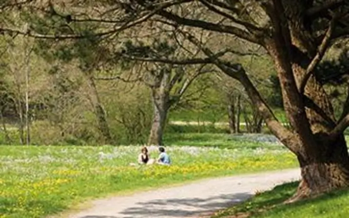 Programme immobilier neuf Bel horizon à Saint-Herblain