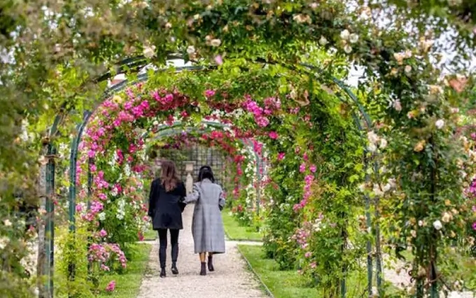 Programme immobilier neuf Villa rosella à L'Haÿ-les-Roses