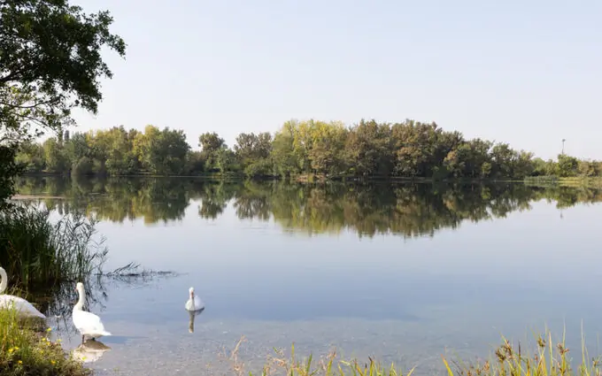 Programme immobilier neuf Hameau Lamartine à Ambarès-et-Lagrave