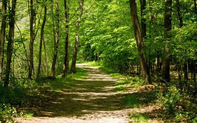 Programme immobilier neuf Le clos des sens à Villenave-d'Ornon