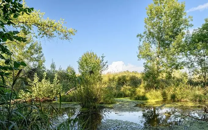 Programme immobilier neuf Le moulin d'erno à Ernolsheim-Bruche (67120)