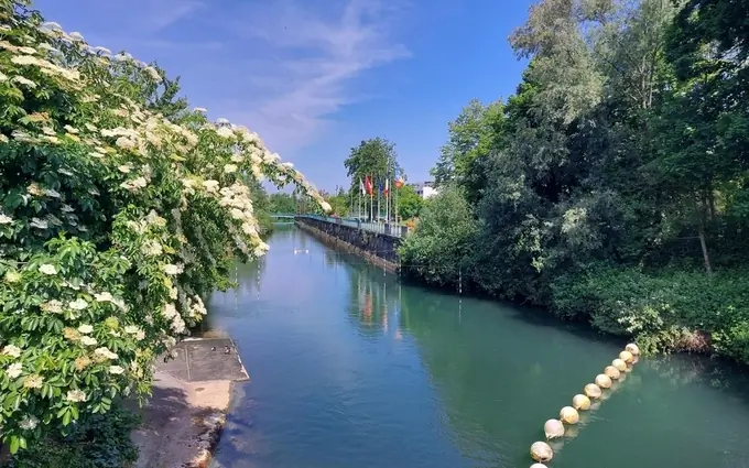 Programme immobilier neuf Jardin des eaux vives - t1 à Huningue