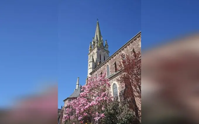 Programme immobilier neuf Villa vanille à Bédée