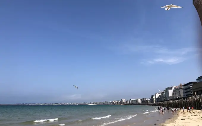 Programme immobilier neuf George v à Saint-Malo