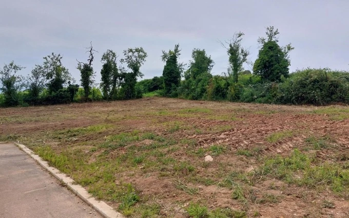 Programme immobilier neuf Au pinot à Châtenois