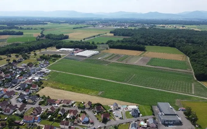 Programme immobilier neuf Gatterfled 2 à Bindernheim