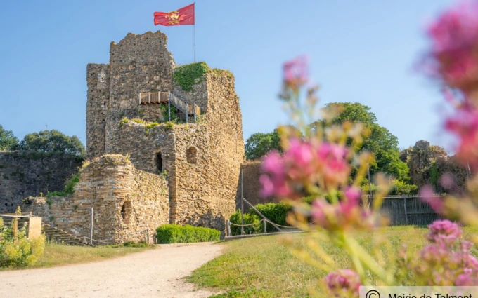 Programme immobilier neuf Les terrasses du payré à Talmont-Saint-Hilaire
