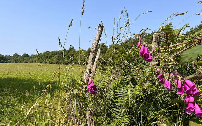 Programme immobilier neuf Le clos des lys (la paquelais) à Vigneux-de-Bretagne