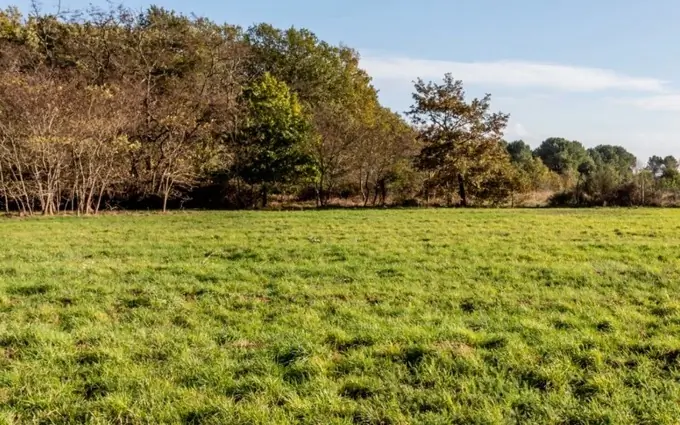 Programme immobilier neuf Terrain à partir de 738m² à cocumont à Cocumont (47250)