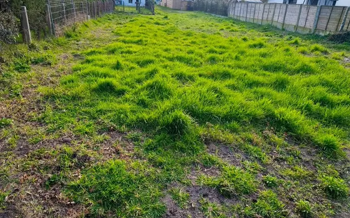 Programme immobilier neuf Terrain à partir de 310m² à le bouscat à Le Bouscat (33110)