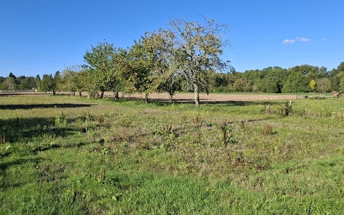 Programme immobilier neuf Terrain à partir de 1100m² à saint-philippe-du-seignal à Saint-Philippe-du-Seignal (33220)