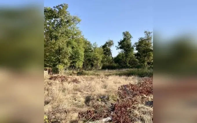 Programme immobilier neuf Terrain à partir de 580m² à saint-genès-de-lombaud à Saint-Genès-de-Lombaud (33670)