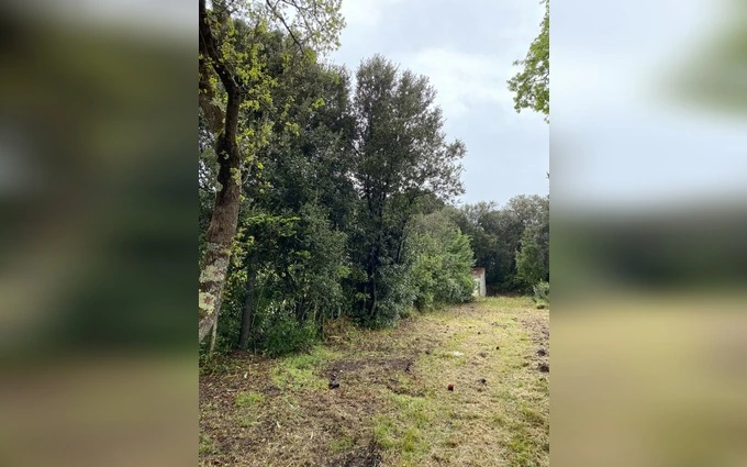 Programme immobilier neuf Terrain à partir de 689m² à saint-pierre-d'oléron à Saint-Pierre-d'Oléron (17310)