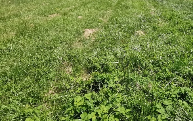 Programme immobilier neuf Terrain à partir de 2769m² à Atur