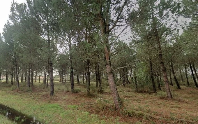 Programme immobilier neuf Terrain à partir de 560m² à Andernos-les-Bains à Andernos-les-Bains (33510)