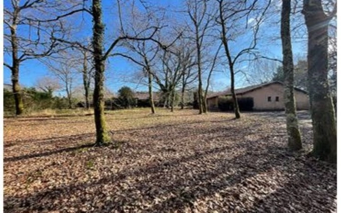 Programme immobilier neuf Terrain à partir de 930m² à Magescq à Magescq (40140)