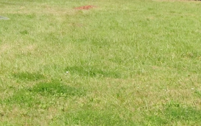 Programme immobilier neuf Terrain à partir de 300m² à Langoiran à Langoiran (33550)