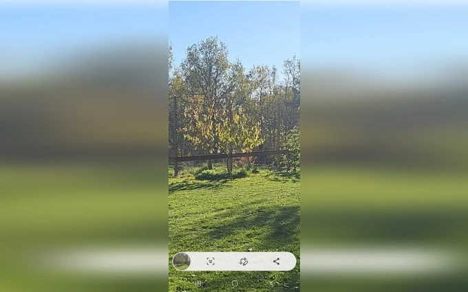 Programme immobilier neuf Terrain à partir de 860m² à Louchats à Louchats (33125)