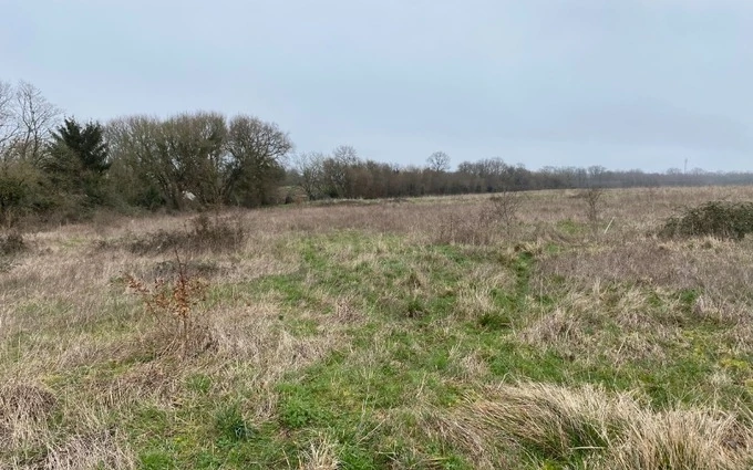 Programme immobilier neuf Terrain à partir de 300m² à pont-l'abbé-d'arnoult à Pont-l'Abbé-d'Arnoult (17250)