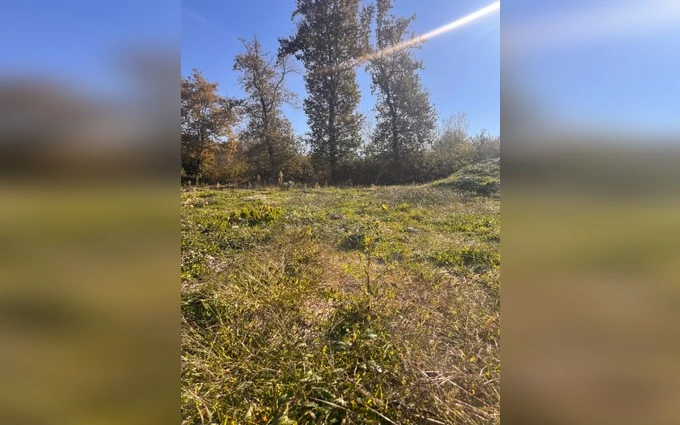 Programme immobilier neuf Terrain à partir de 1400m² à léogeats à Léogeats (33210)