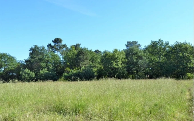 Programme immobilier neuf Terrain à partir de 420m² à la brède à La Brède (33650)