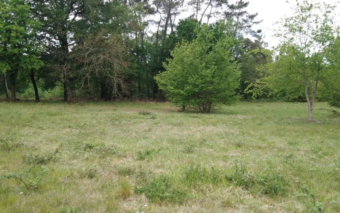 Programme immobilier neuf Terrain à partir de 1600m² à saint-barthélemy-de-bellegarde à Saint-Barthélemy-de-Bellegarde (24700)