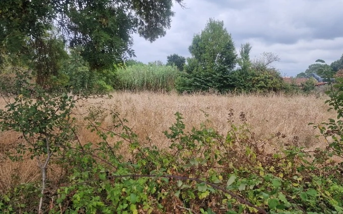 Programme immobilier neuf Terrain à partir de 900m² à mazion à Mazion (33390)