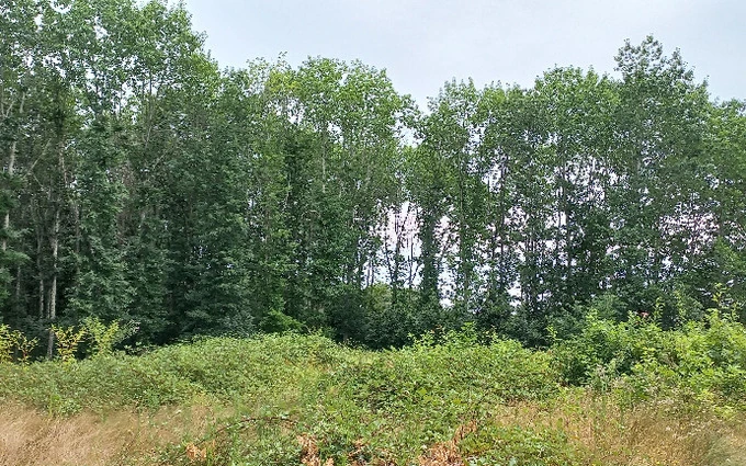 Programme immobilier neuf Terrain à partir de 1000m² à ménesplet à Ménesplet (24700)