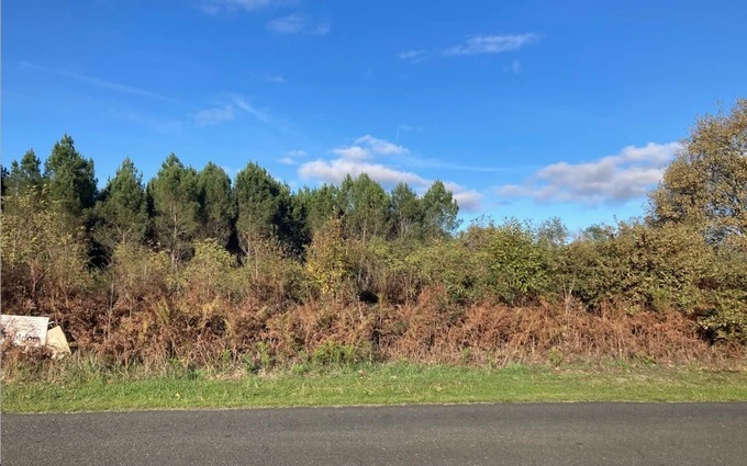 Programme immobilier neuf Terrain à partir de 800m² à balizac à Balizac