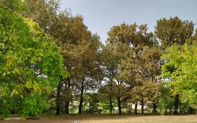 Programme immobilier neuf Terrain à partir de 575m² à samonac à Samonac (33710)