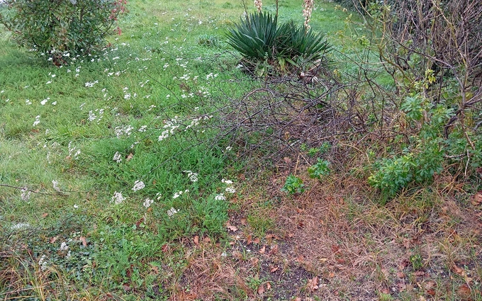 Programme immobilier neuf Terrain à partir de 430m² à marcheprime à Marcheprime (33380)