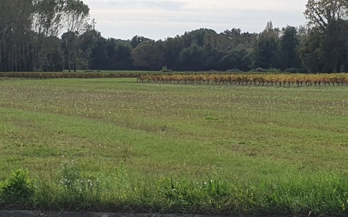 Programme immobilier neuf Terrain à partir de 540m² à saint-savin à Saint-Savin