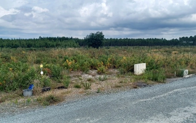 Programme immobilier neuf Terrain à partir de 767m² à marcheprime à Marcheprime